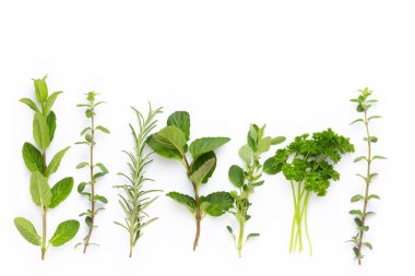 Beyaz arka planda izole edilmiş baharat bitkisi. Üst Manzara. Düz uzanma deseni.