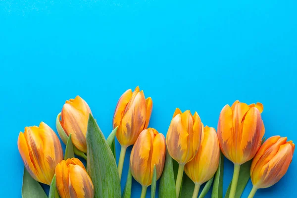 Pomarańczowe Tulipany Pastelowym Tle — Zdjęcie stockowe