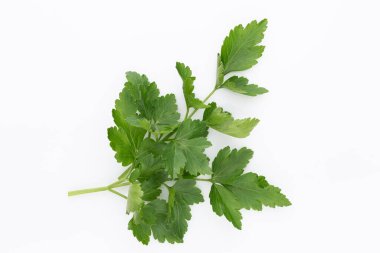 Beyaz arkaplanda biyo maydanoz yaprağı.