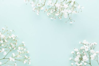Pastel arka planda çingene çiçekleri. Düz konum, üst görünüm, kopyalama alanı.