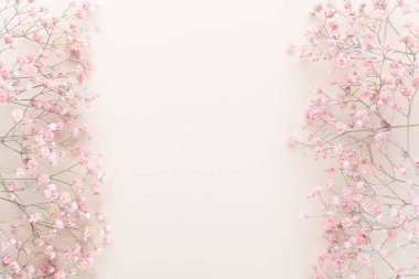 Pastel arka planda çingene çiçekleri. Düz konum, üst görünüm, kopyalama alanı.