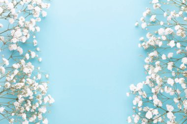 Pastel arka planda çingene çiçekleri. Düz konum, üst görünüm, kopyalama alanı.