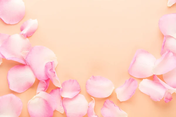 Rose Flowers Petals Pastel Background Valentines Day Background Flat Lay — Fotografia de Stock