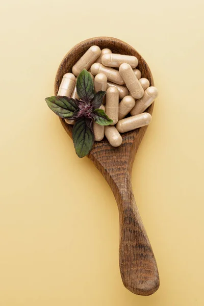 Alternative Medicine Herb Capsule Nutritional Supplement — Stock fotografie