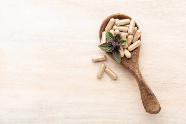 Alternative Medicine Herbal Capsule Nutritional Supplement — Stock fotografie