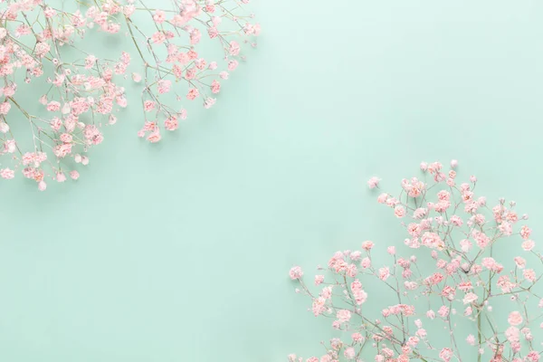 Gypsophila Flowers Pastel Background Flat Lay Top View Copy Space — Foto de Stock