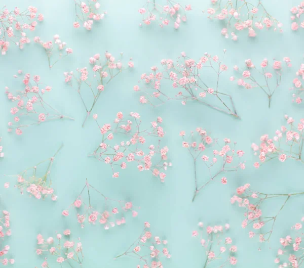 Gypsophila Flowers Pastel Background Flat Lay Top View Copy Space — Foto de Stock