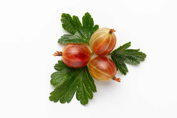 Closeup Ripe Red Gooseberry Berry Gooseberry Leaf Isolated White Background Royalty Free Stock Photos