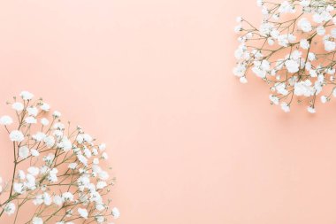 Gypsophila flowers on pastel background. Flat lay, top view, copy space.