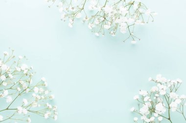 Pastel arka planda çingene çiçekleri. Düz konum, üst görünüm, kopyalama alanı.