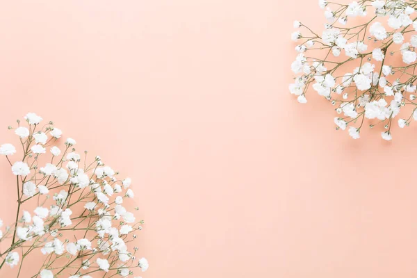 Gypsophila flowers on pastel background. Flat lay, top view, copy space.