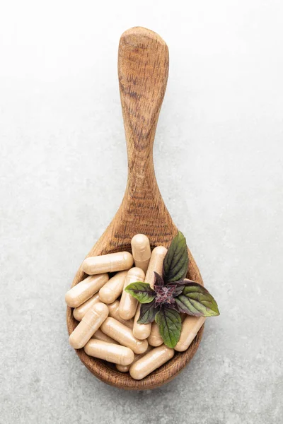 Alternative Medicine Herb Capsule Nutritional Supplement — Stock fotografie