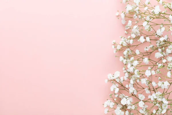 Gypsophila Flowers Pastel Background Flat Lay Top View Copy Space Fotos De Bancos De Imagens