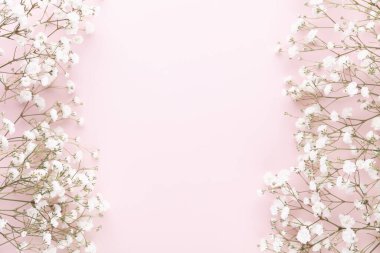 Pastel arka planda çingene çiçekleri. Düz konum, üst görünüm, kopyalama alanı.