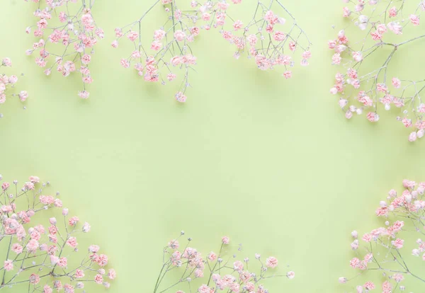 Gypsophila flowers on pastel background. Flat lay, top view, copy space.