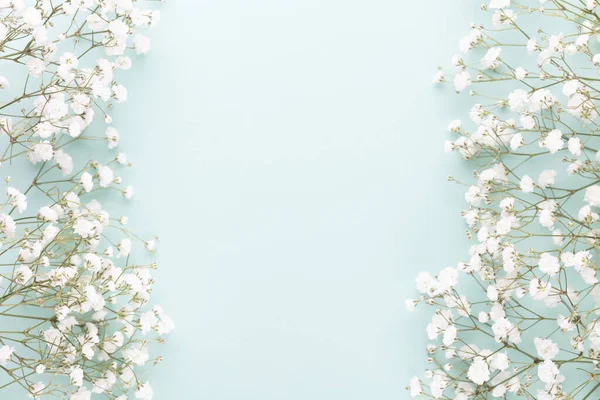 Gypsophila flowers on pastel background. Flat lay, top view, copy space.
