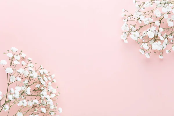 Gypsophila flowers on pastel background. Flat lay, top view, copy space.