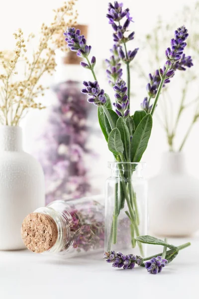 Dried lavender flowers with bottle. Natural herbs medicine. Herbal medicine. Homeopathy end alternative medicine backgrouns.