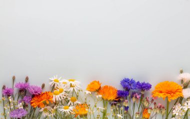 Çiçek desenli kır çiçekleri, yeşil yapraklar, pastel arka planda dallar. Düz yatış, üst görünüm.