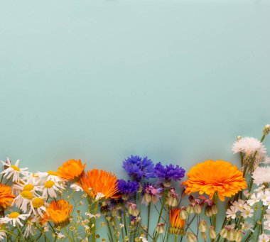 Floral herbal pattern with wildflowers, green leaves, branches on pastel background. Flat lay, top view.