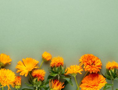 Çiçek desenli kır çiçekleri, yeşil yapraklar, pastel arka planda dallar. Düz yatış, üst görünüm.