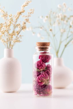 Şişeli kurumuş homeopati çiçekleri. Doğal şifalı bitkiler. Bitkisel ilaçlar. Homeopati alternatif tıp geçmişlerini sonlandırdı.