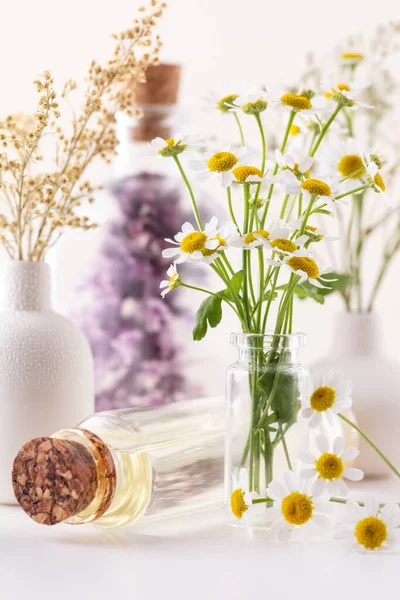 Kamillenblüten Mit Flasche Natürliche Kräutermedizin Kräutermedizin Homöopathie Beendet Alternative Medizin — Stockfoto