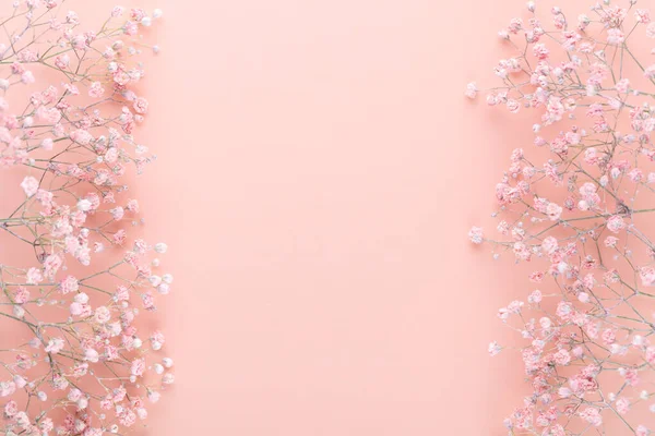 Gypsophila flowers on pastel background. Flat lay, top view, copy space.