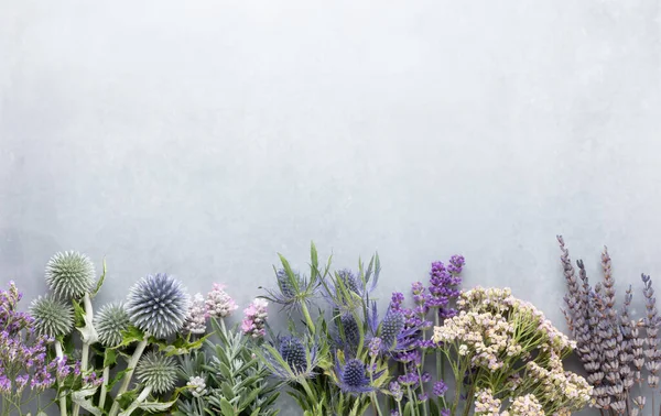 Medicinal Herbs Pastel Background Top View Flat Lay Alternative Medicine — Stockfoto