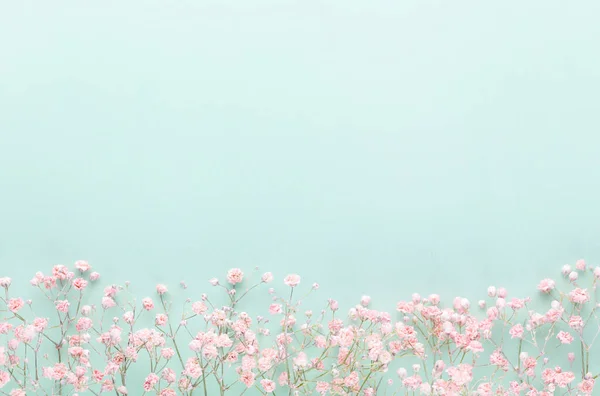 Gypsophila flowers on pastel background. Flat lay, top view, copy space.