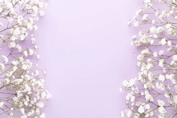 Gypsophila flowers on pastel background. Flat lay, top view, copy space.