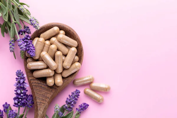 Alternative Medicine Herbal Capsule Nutritional Supplement — Stockfoto