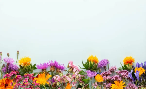 Floral Herbal Pattern Wildflowers Green Leaves Branches Pastel Background Flat Fotos de stock libres de derechos