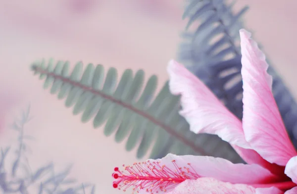 soyut çiçek arkaplanı