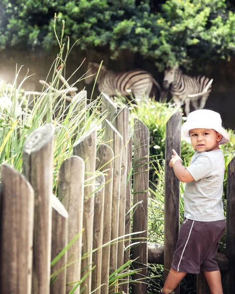 Crianças em um zoológico — Fotografia de Stock