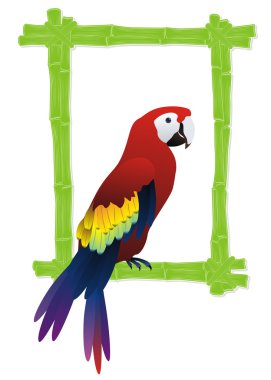 Tropical bird frame clipart