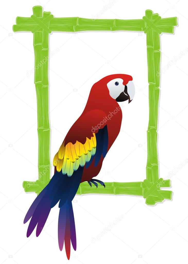 Tropical bird frame