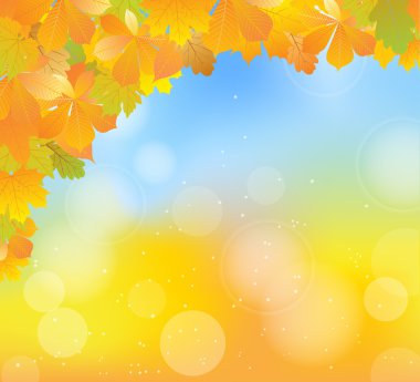 Sonbahar Yaprakları