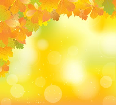 Sonbahar Yaprakları