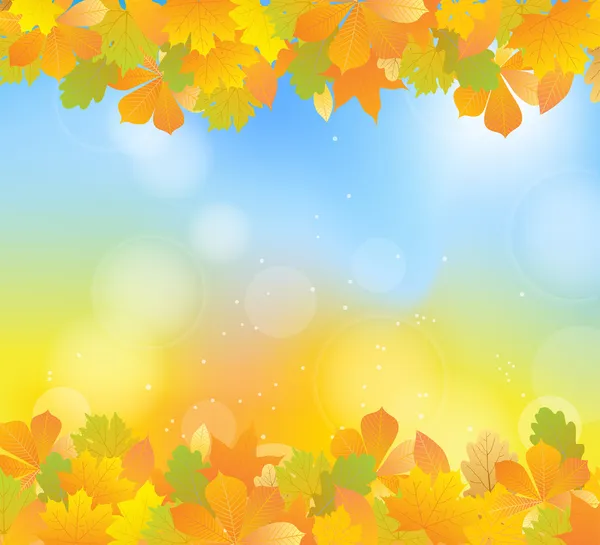 Autumn leaves — Stock Vector