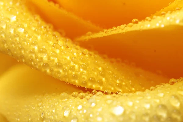 Yellow drops — Stock Photo, Image