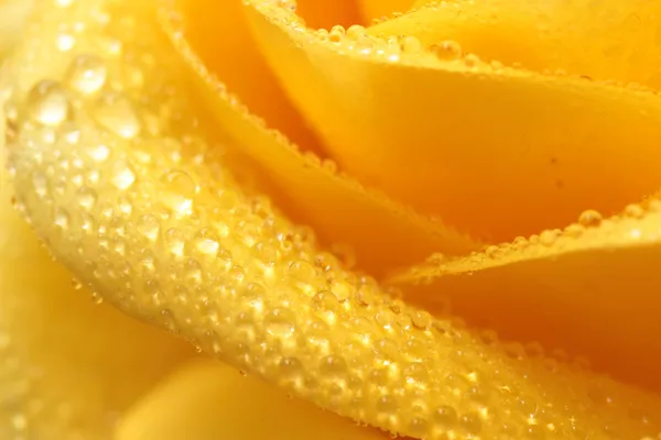 Yellow drops — Stock Photo, Image