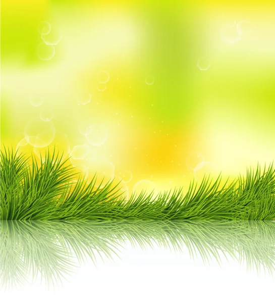 Sommar grön — Stock vektor