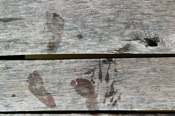 Planches de bois avec des empreintes de pieds nus — Photo