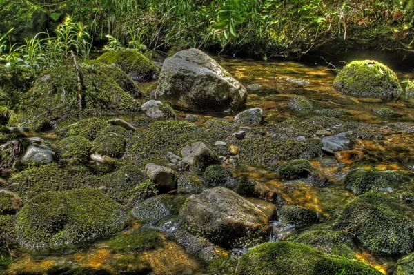 Flödande creek — Stockfoto