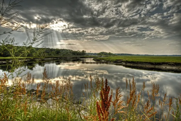 Scarborough marsh ben