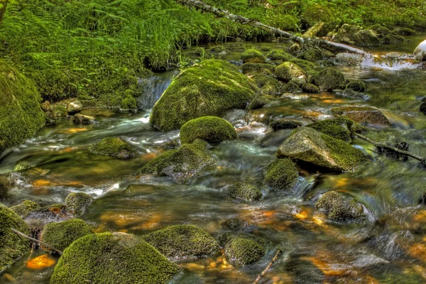 Przepływające potoku 4 — Zdjęcie stockowe