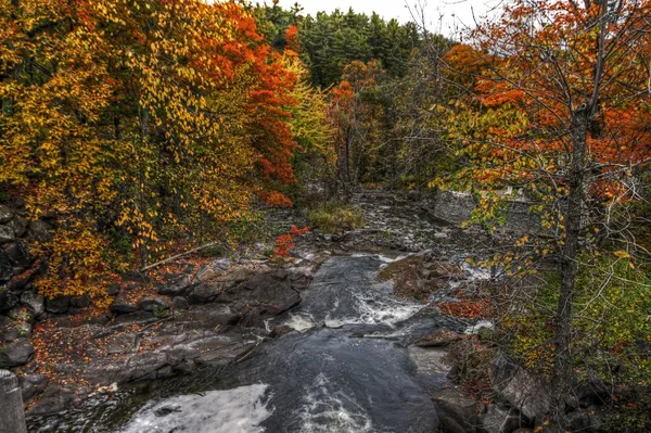 Őszi erdő és a folyó táj 06 — Stock Fotó