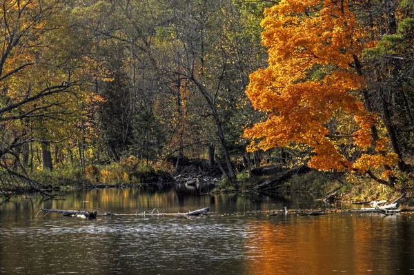 Les na podzim a říční krajiny 01 — Stock fotografie