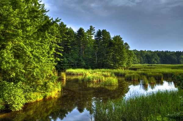 Scarborough marsh 63 — Stockfoto